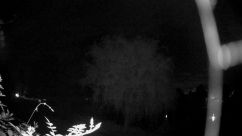 Rosarium Webcam