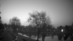 Rosarium Webcam