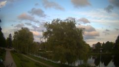Rosarium Webcam