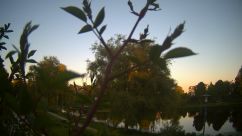 Rosarium Webcam