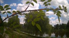 Rosarium Webcam