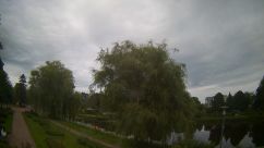 Rosarium Webcam