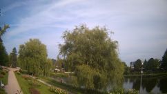 Rosarium Webcam