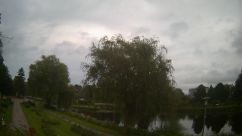 Rosarium Webcam
