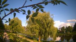 Rosarium Webcam