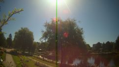 Rosarium Webcam