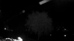 Rosarium Webcam