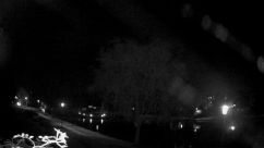 Rosarium Webcam