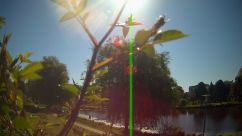 Rosarium Webcam
