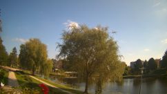 Rosarium Webcam