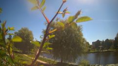 Rosarium Webcam