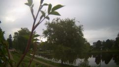 Rosarium Webcam