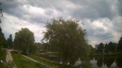 Rosarium Webcam