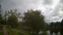 Rosarium Webcam