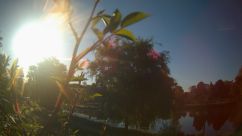 Rosarium Webcam