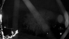 Rosarium Webcam