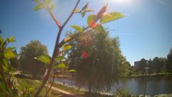 Rosarium Webcam