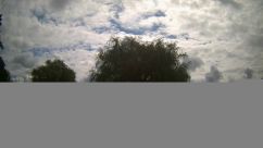 Rosarium Webcam