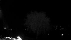 Rosarium Webcam