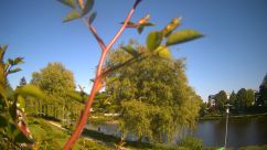 Rosarium Webcam
