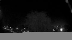 Rosarium Webcam
