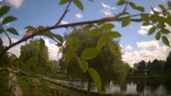 Rosarium Webcam