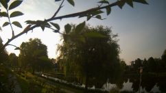 Rosarium Webcam