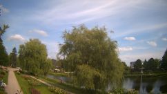 Rosarium Webcam