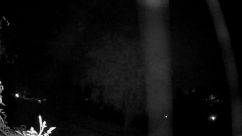 Rosarium Webcam