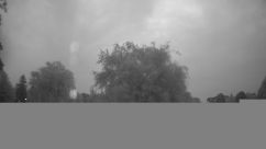 Rosarium Webcam