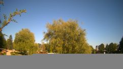 Rosarium Webcam