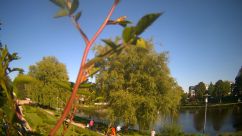 Rosarium Webcam