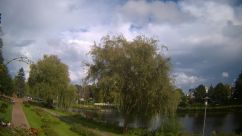 Rosarium Webcam
