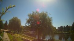 Rosarium Webcam