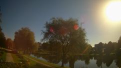 Rosarium Webcam
