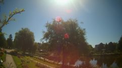 Rosarium Webcam