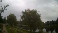 Rosarium Webcam