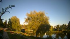 Rosarium Webcam