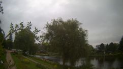 Rosarium Webcam