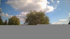 Rosarium Webcam