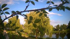 Rosarium Webcam