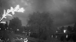 Rosarium Webcam