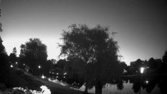 Rosarium Webcam