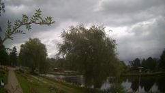 Rosarium Webcam