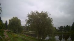 Rosarium Webcam