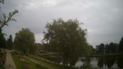 Rosarium Webcam