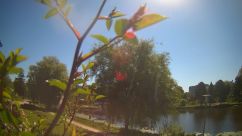 Rosarium Webcam