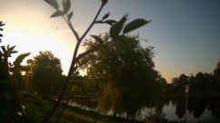 Rosarium Webcam