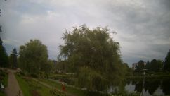 Rosarium Webcam