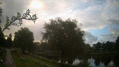Rosarium Webcam